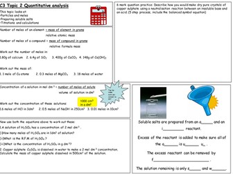 C3 topic 2 revision placemat