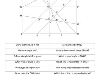 Lines and angles naming and vocabulary activity