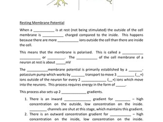 Gap Fill - Resting Potential & Action Potential