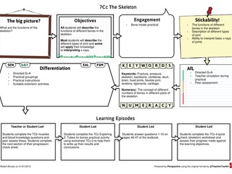 New Exploring Science 7C Muscles and Bones Example Lesson Plans