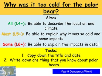 Why was it too cold for the polar bear?