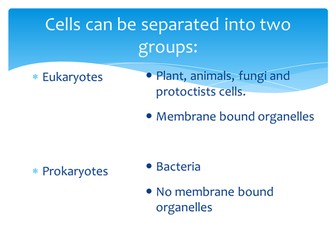 Eukaryote vs Prokaryote WJEC BY1