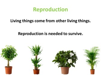Science: Reproduction