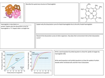 Haemoglobin + Dissociation poster