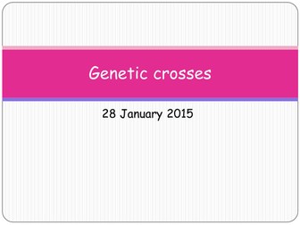 Genetic crosses