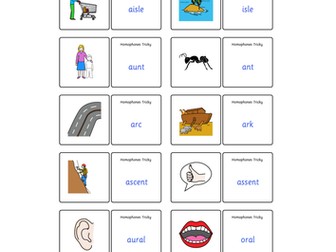 Picture Cards - Tricky Homophones