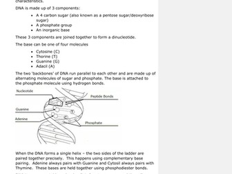 DNA -Spot the mistakes