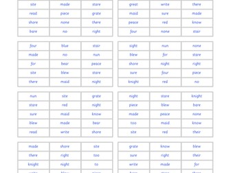 Homophones Activity Pack