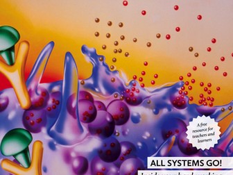 Big Picture: Immune System issue