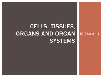 AQA B2.2 Tissues and Organs Teaching Resources