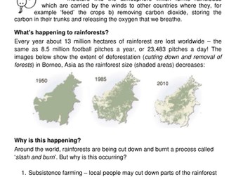 Rainforest deforestation worksheet