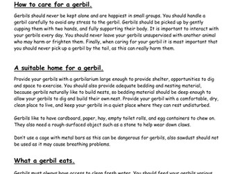 Non Chronological Report Lower KS2 (2 week plan)
