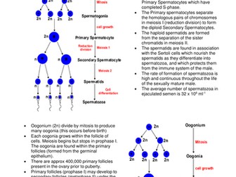 WJEC A level Biology - BY5 resources