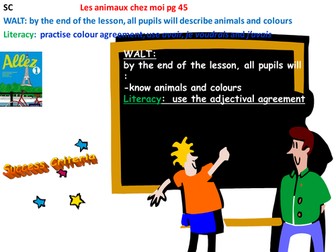 Allez 1 3.3 Les animaux chez moi (avec les dominoes!!)