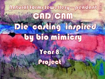 Die Casting Inspired By Bio mimicry Project