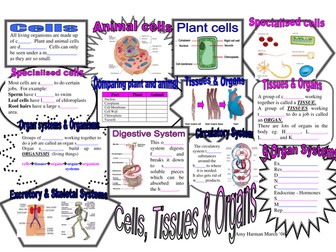 Revision maps for Key Stage 3 2 KS3 KS2 Science Biology Chemistry Physics