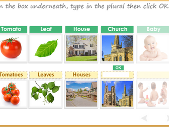 Singular and plural nouns