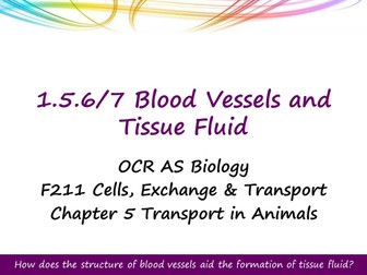OCR AS Level Biology - Transport in Animals