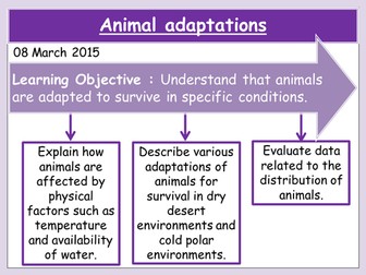 Animal adaptations