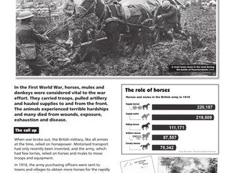 War Horses factsheet 