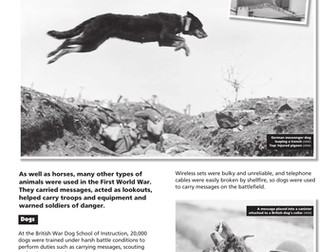 Messengers and Protectors factsheet