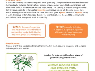 National Insect Week - What's in a name?