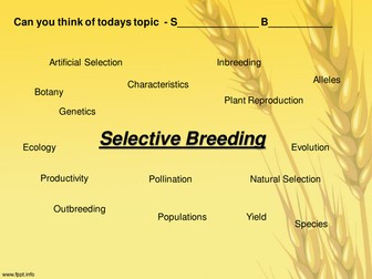 Selective Breeding in Plants