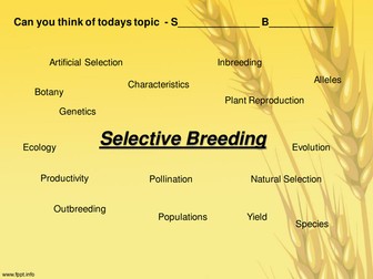 Selective Breeding in Plants