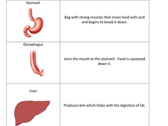 Digestive system matching