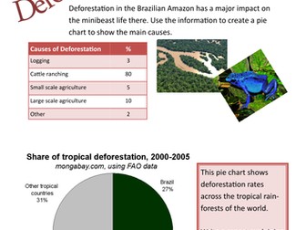 Deforestation in the Amazon