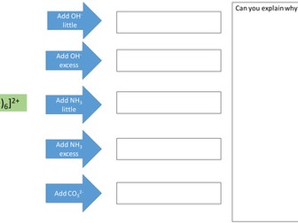 Acid-base and substitution reactions of metal ions