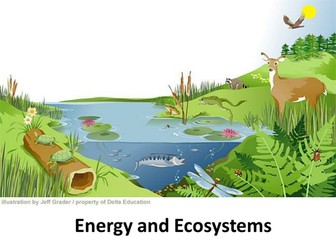 WJEC BY5 resources - 5.7 Energy and ecosystems