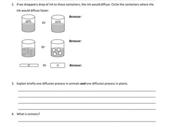 Movement In and Out of Cell Exam