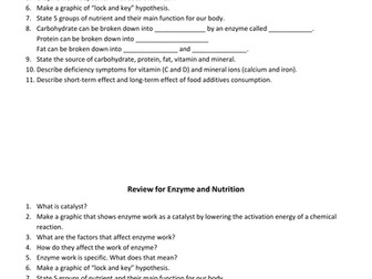 Enzyme and Nutrition