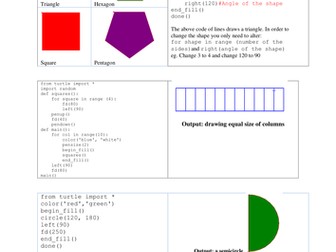 Turtle Activity for KS3