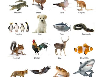 PowerPoint Chart with Vertebrate Theme