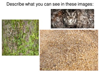 AQA-Adaptation and Interdependence