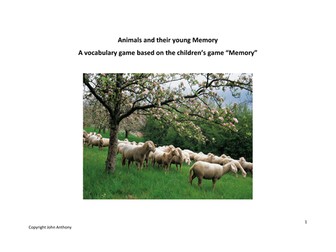 Animals and their young