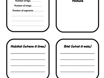 Minibeast Fact File Template