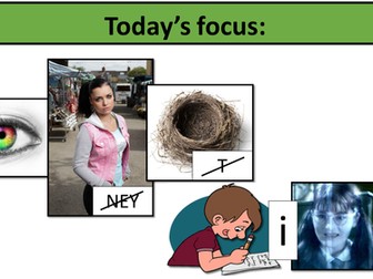 Eyewitness Testimony Revision Session