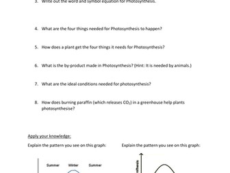 KS3 Photosynthesis Worksheet