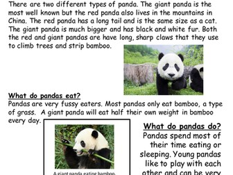 Animal Non Chronological Report Examples