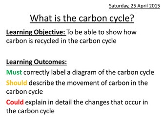 What is the carbon cycle?