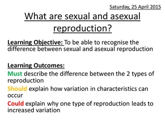 What are sexual and asexual reproduction?