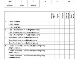Pupil Voice Questionnaire