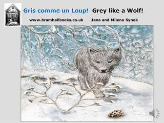 Gris comme un Loup!/Grey like a Wolf! POWERPOINT
