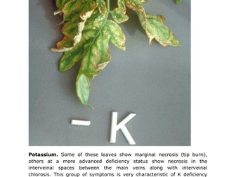 Plant Mineral Deficiency Cards