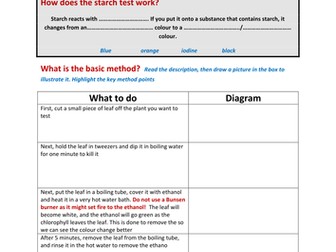 The starch test for leaves - method and variations