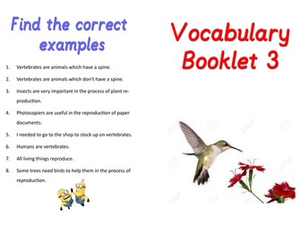 English vocab booklet 3