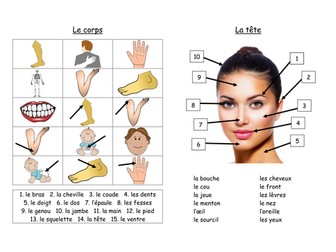 Body parts, illnesses and remedies